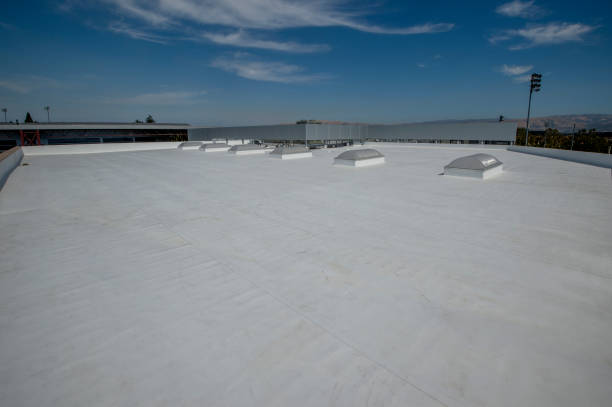 Best Steel Roofing  in Remgton, IN